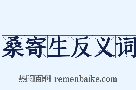 桑寄生反义词是什么意思的图片